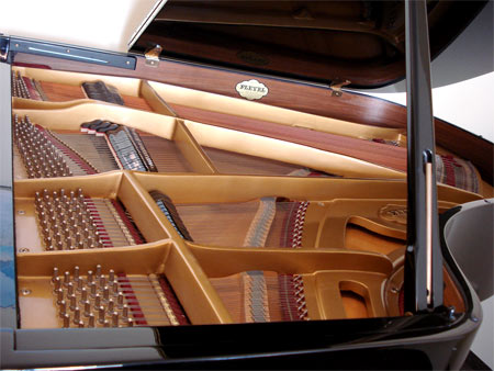 Pleyel Flügel