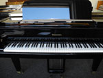 Schimmel Flügel